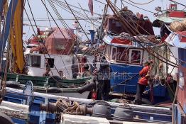 Image du Maroc Professionnelle de  Quelques ouvriers s'activent sur les bateaux de pêches sur un des quais au port d'Agadir, ville située au sud du Maroc, Vendredi 23 Août 2002. (Photo / Abdeljalil Bounhar)

 